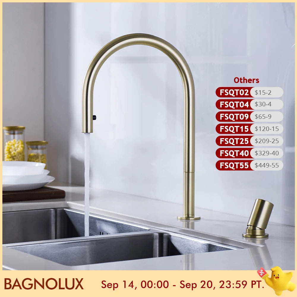 ANEA Swivel Gooseneck Kitchen Mixer Tap